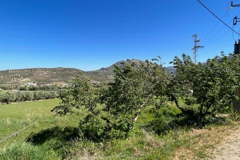 Landhaus in Villanueva Del Trabuco, Malaga - Foto 5